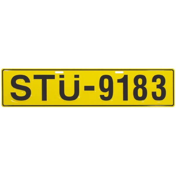 Licence ''stu-9183''fond J Aune