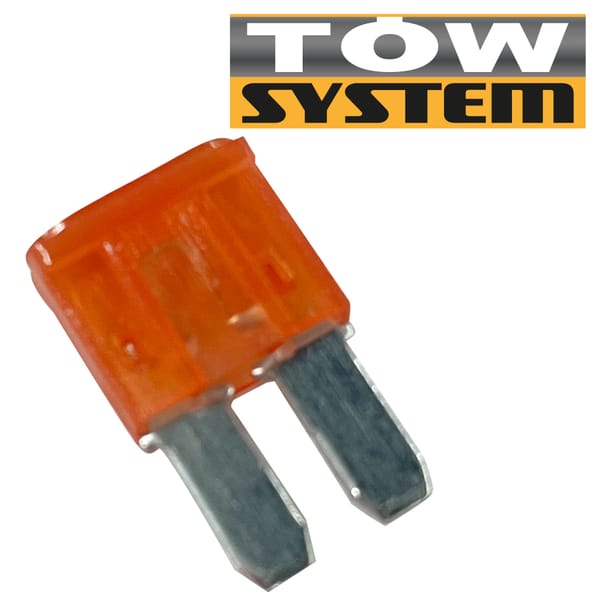 Micro Fuse, 10 A (Pqt 10)rougemicro 2