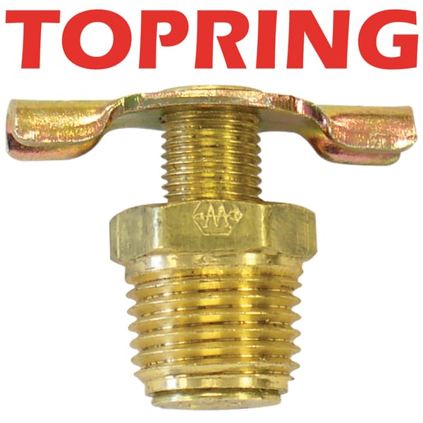 Robinet De Purge 1/8 Npt (M)
