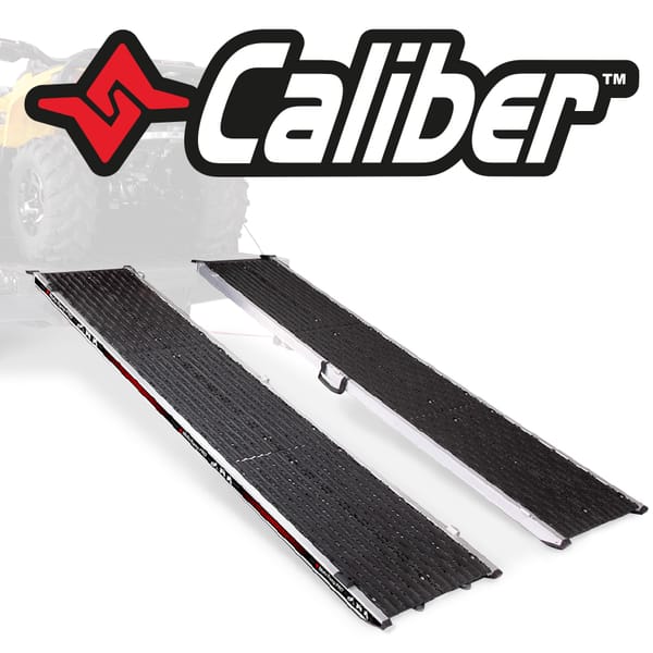 Rampe Pro,20''x90'' 1200lb ,(2)